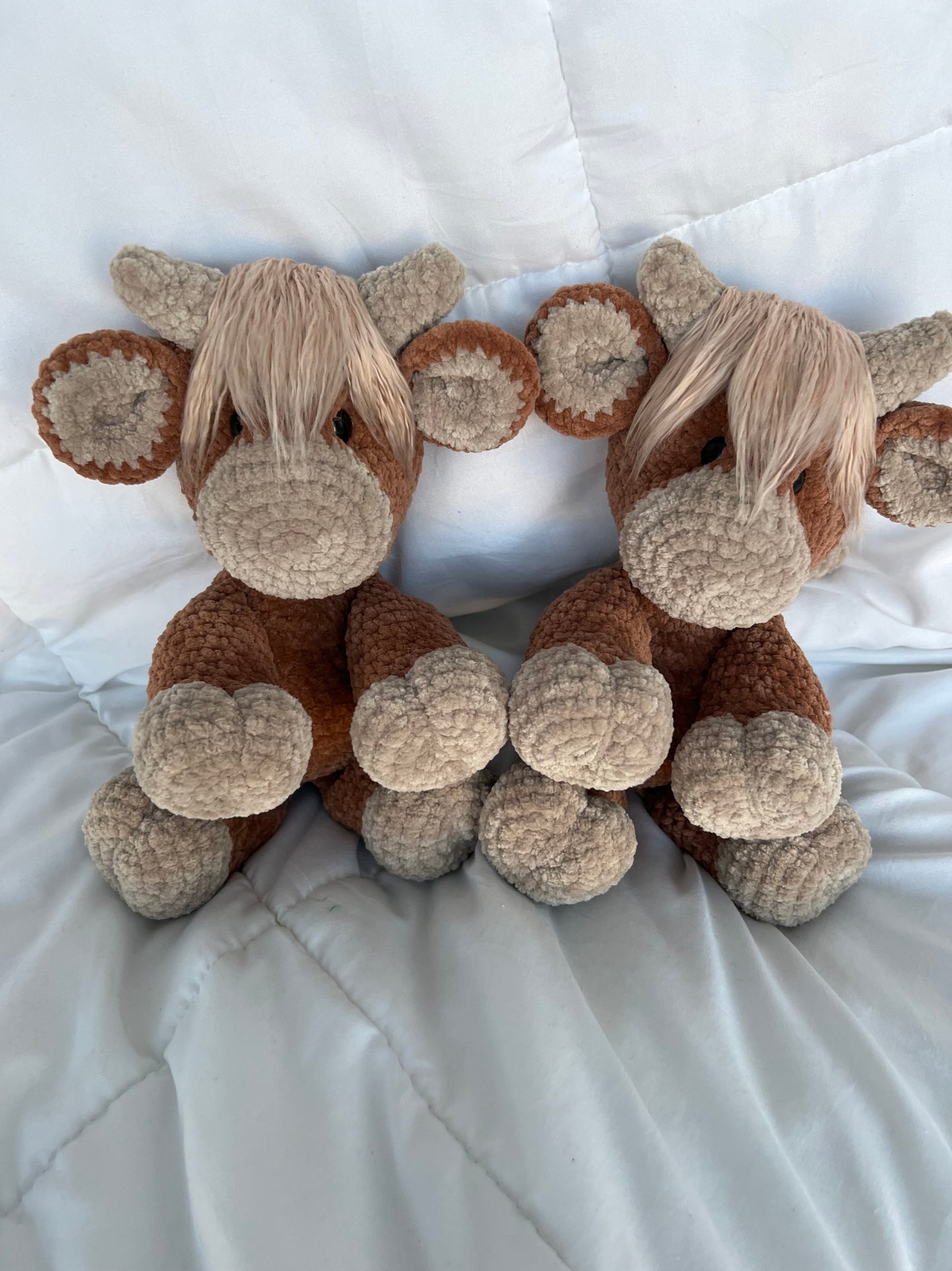Regular Highland Cow (Made to Order)