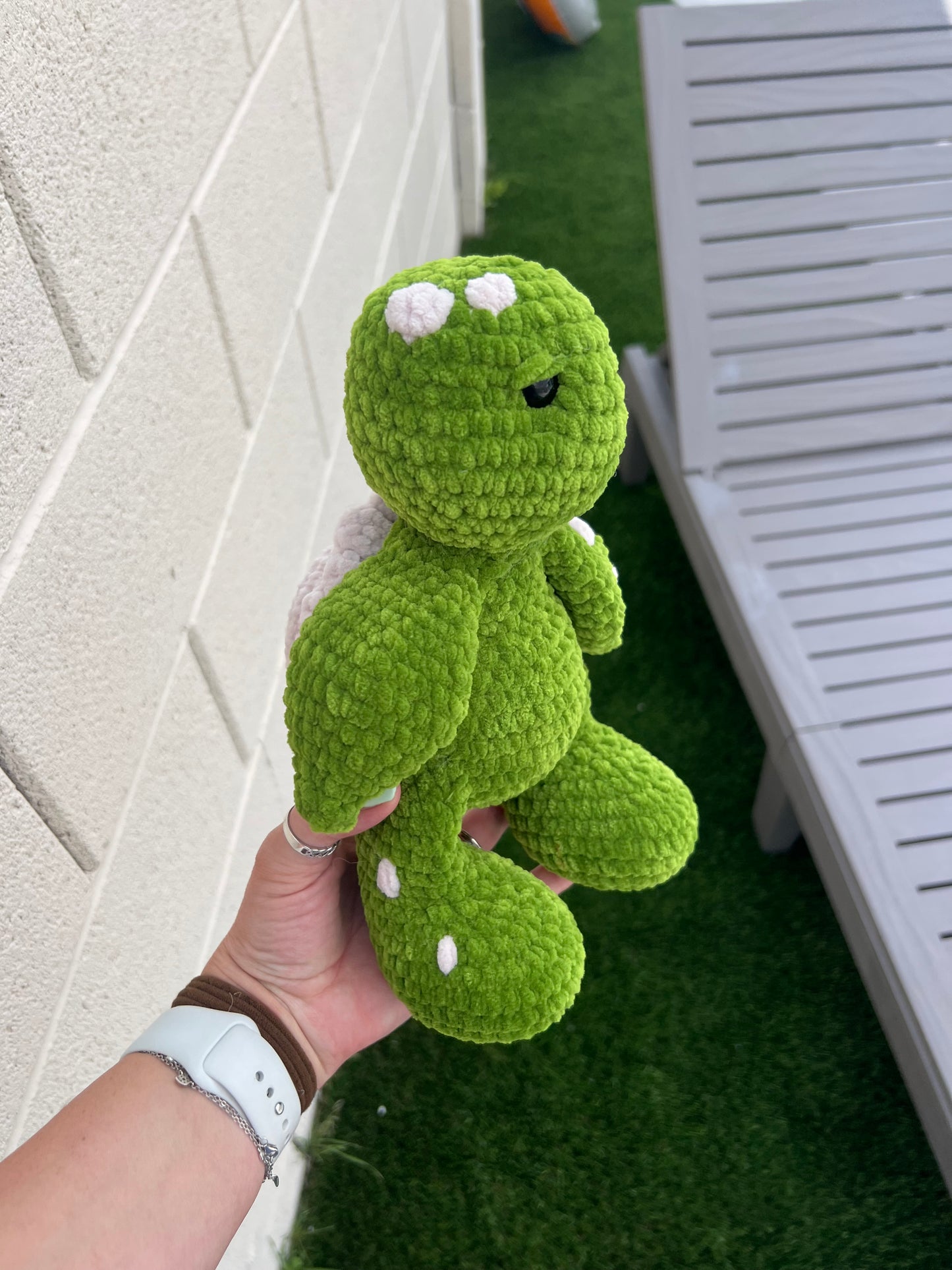 Turtle