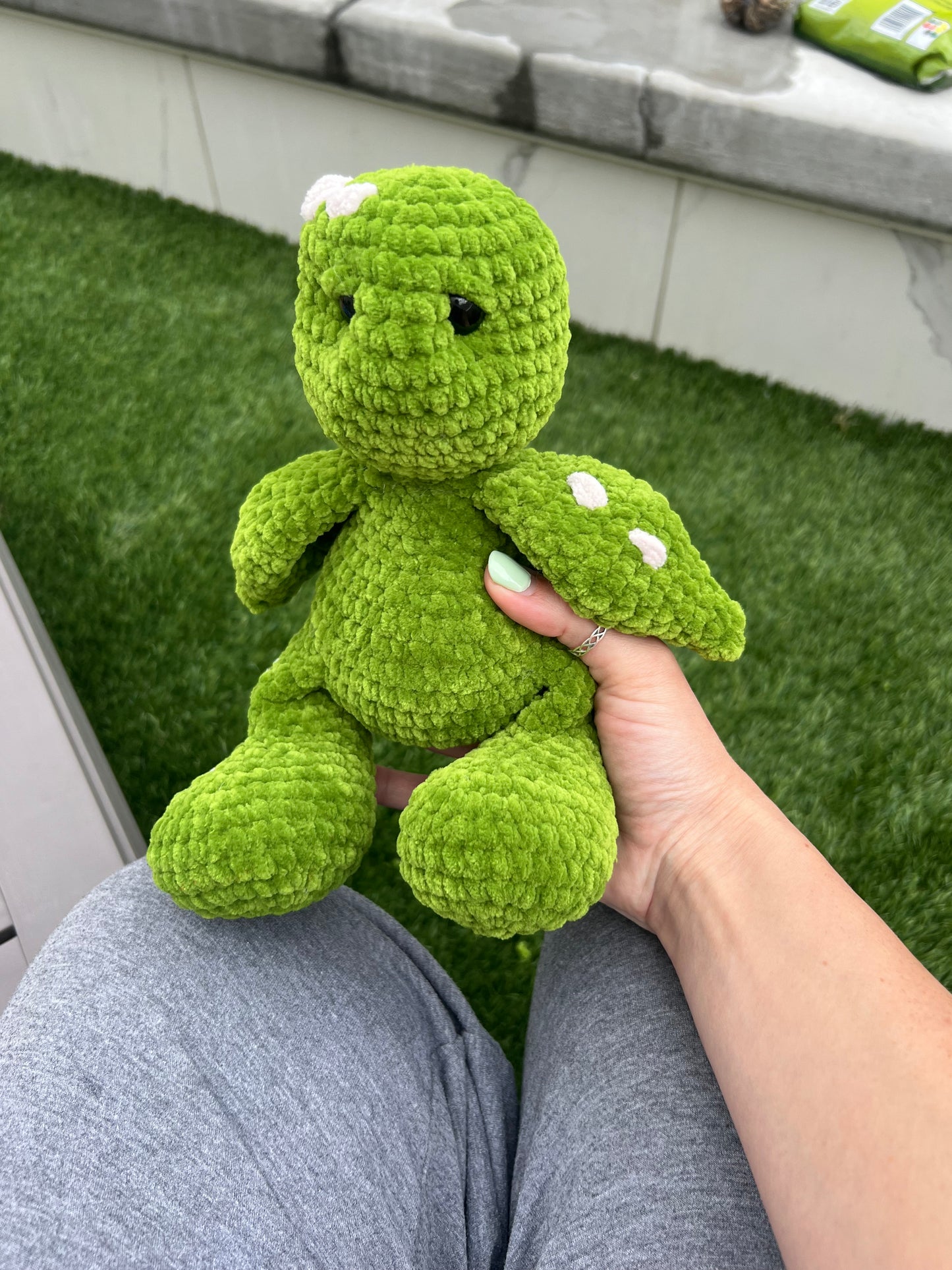 Turtle